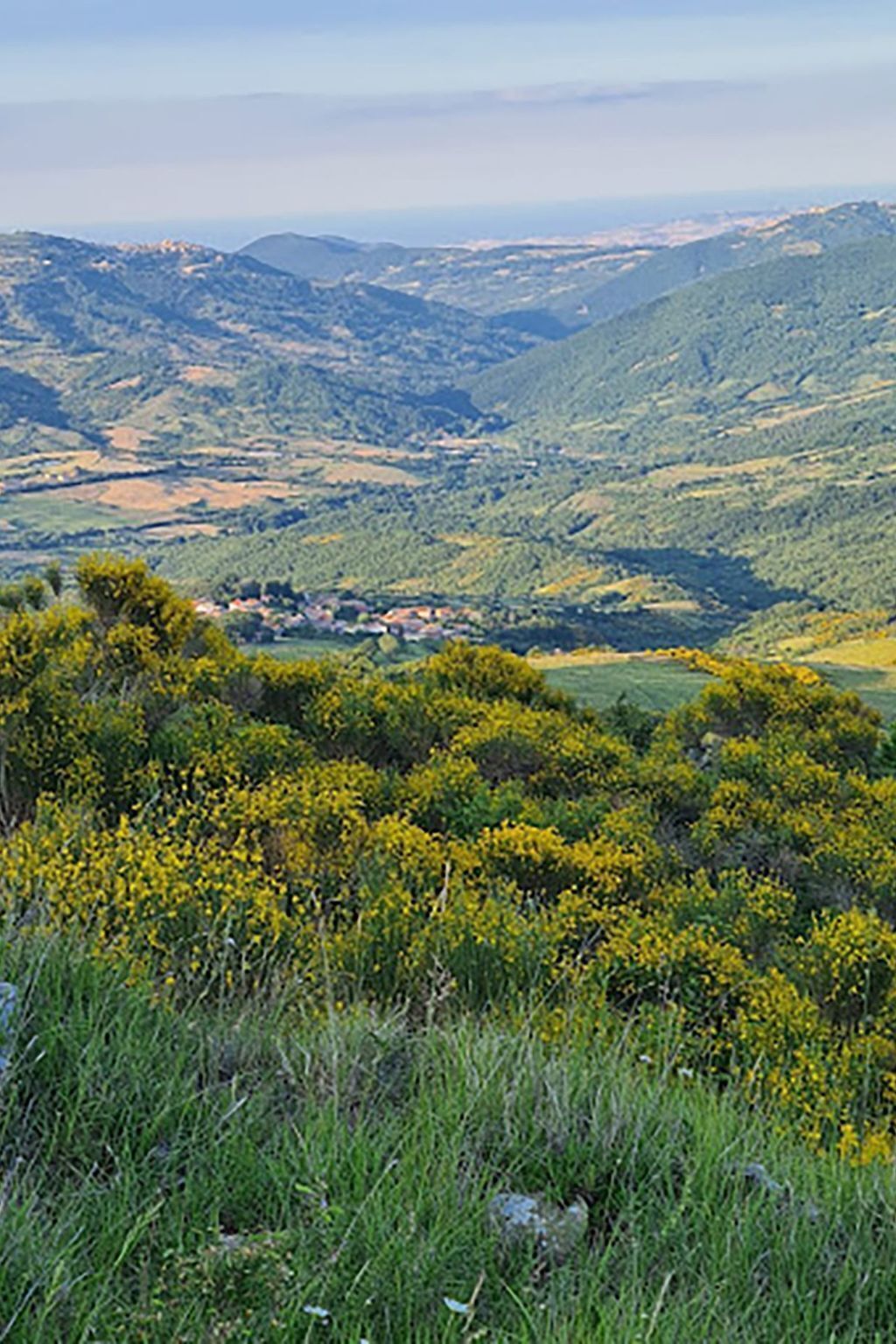 View