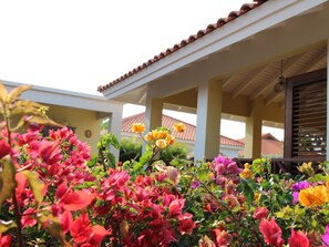 Exterior detail - Villa Gogorobi mit privatem Pool by Interhome (Willemstad)