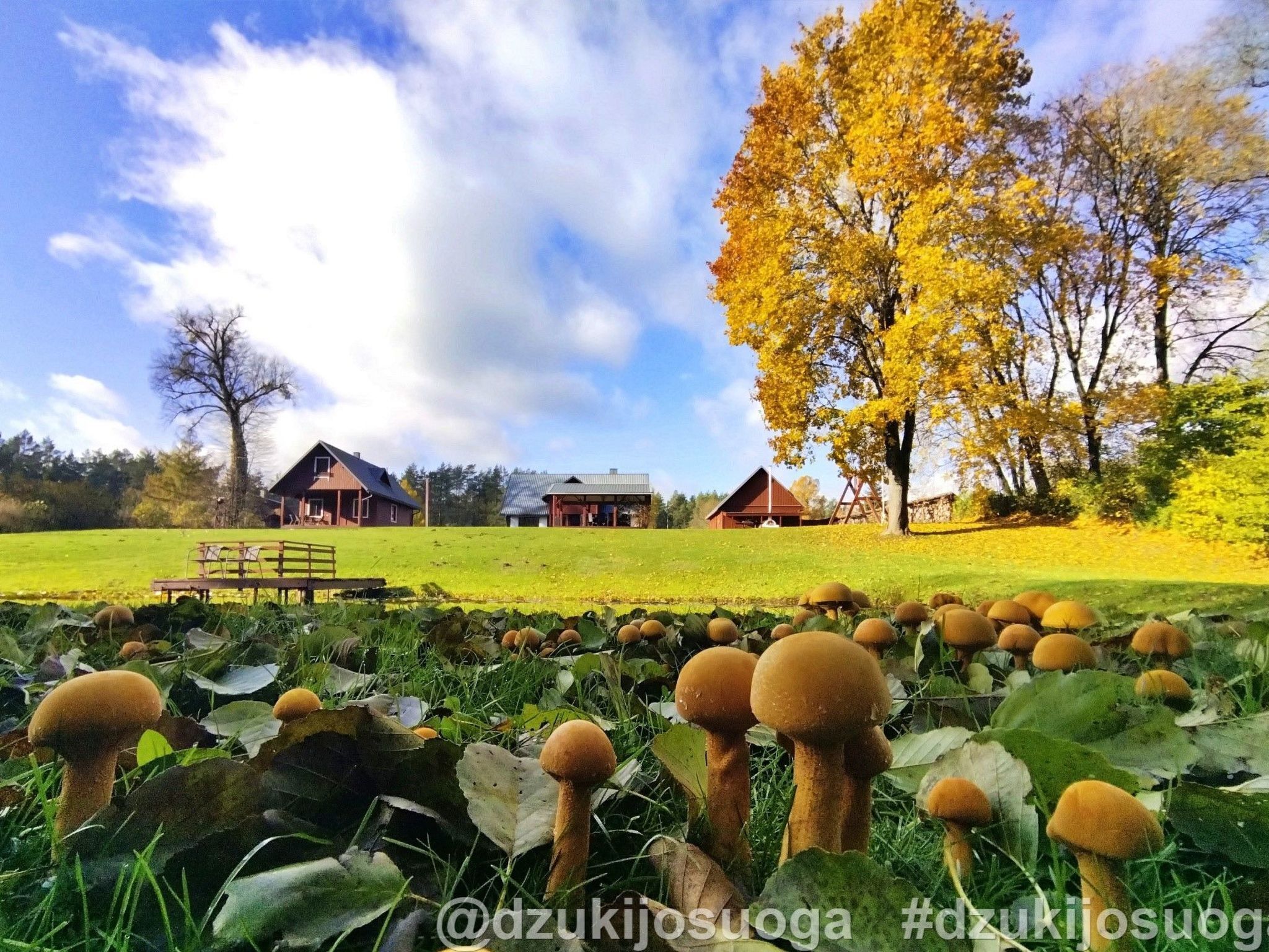 Áreas de la propiedad