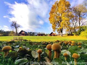 المنطقة المحيطة بالمنشأة