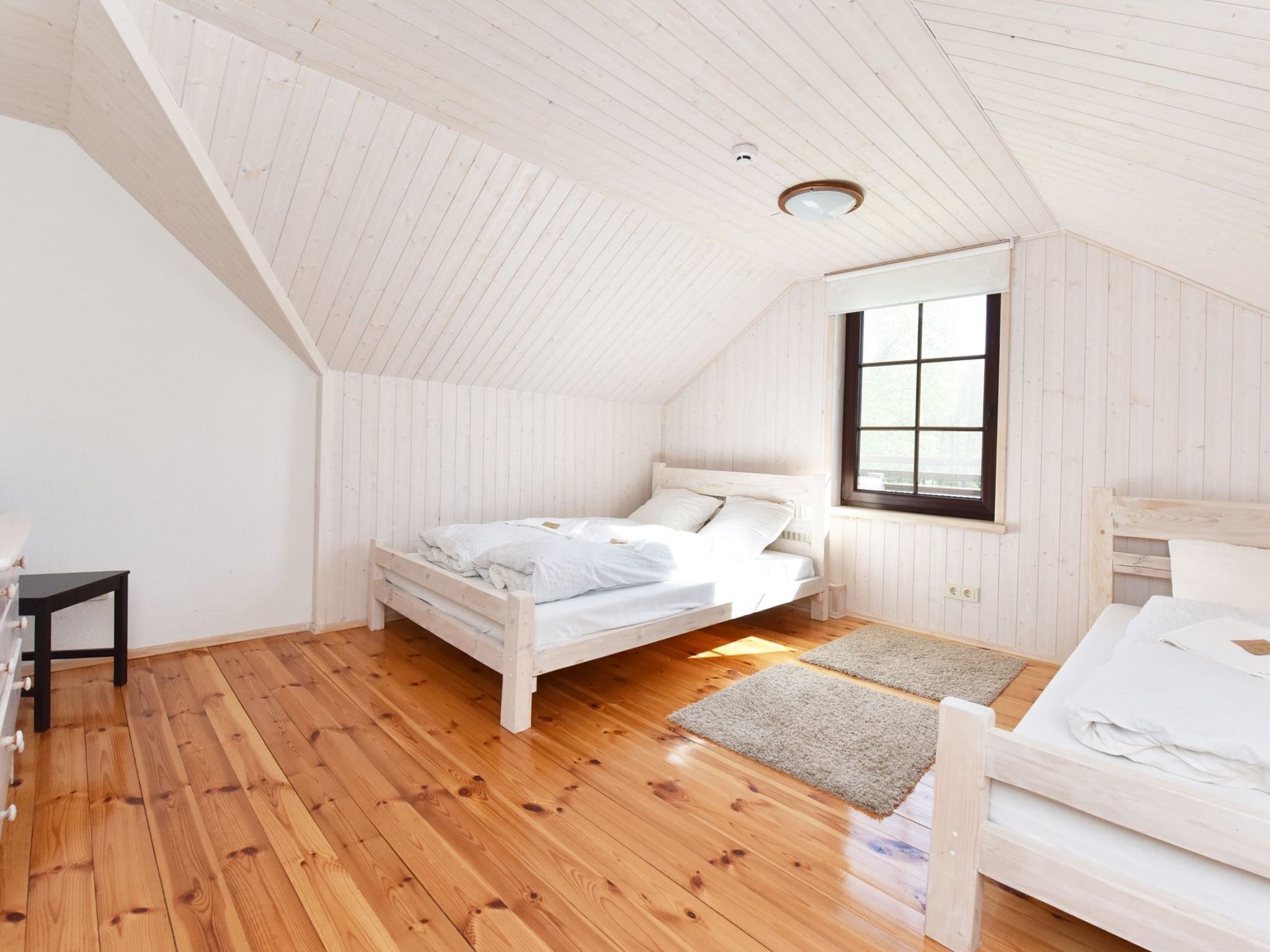 7 habitaciones y internet 