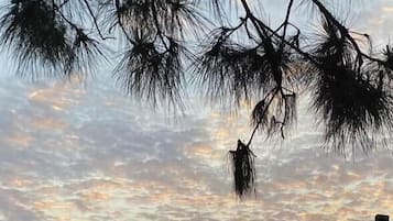 Basic Double Room, Balcony, Mountain View | Desk, laptop workspace, soundproofing, iron/ironing board