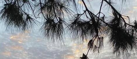 Standard Double Room, Mountain View | Frette Italian sheets, premium bedding, pillow-top beds, minibar