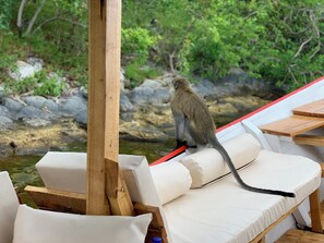 Property grounds - Luxury Boat Cruise on Lake kivu, explore green islands, See the swimming cows …. (Kibuye)