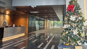 A spacious lobby with a reception desk, a Christmas tree, and a chandelier.
