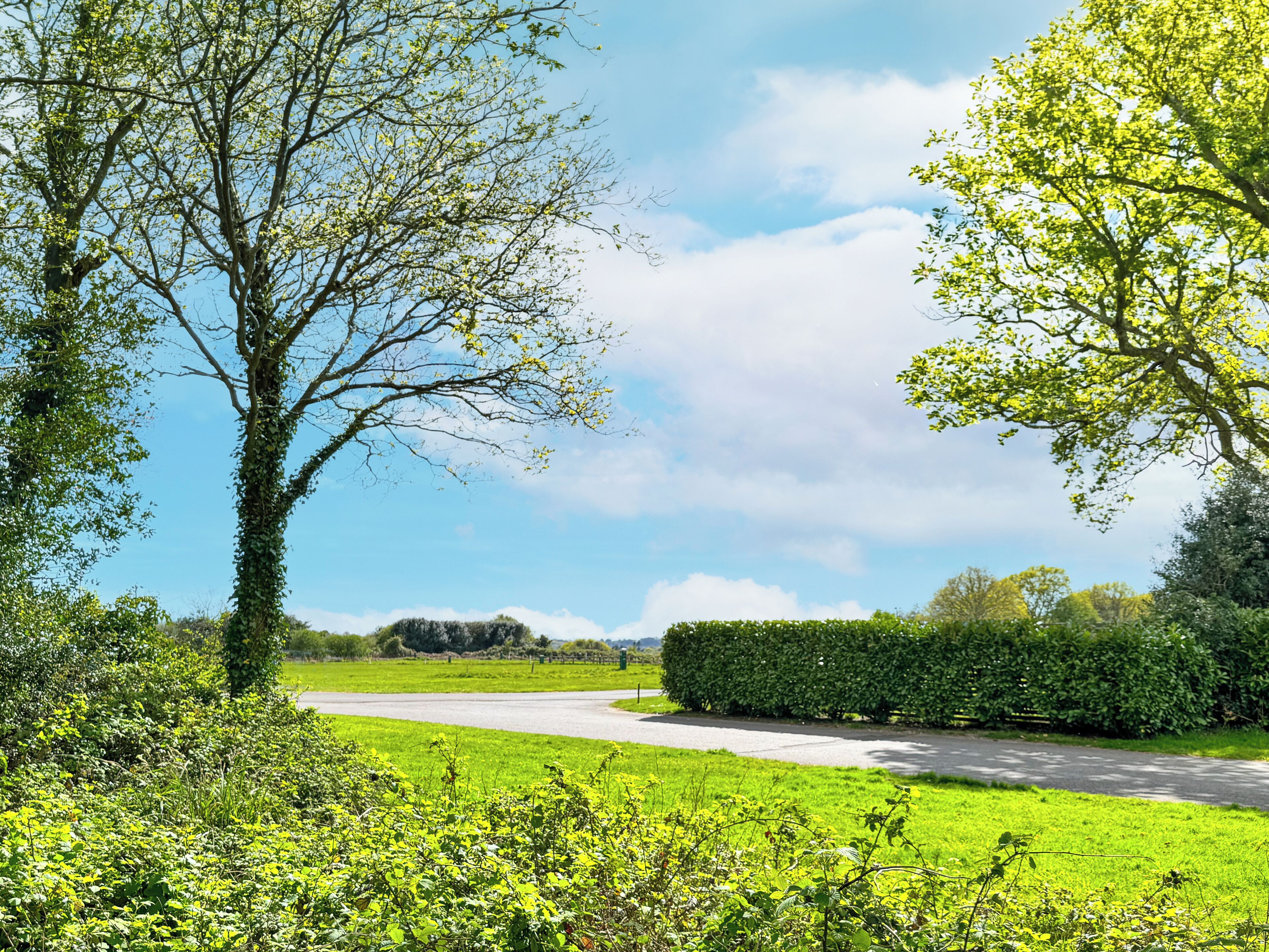 Un paysage rural avec une route asphaltée, des champs verdoyants et des arbres.
