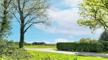 Un paisaje rural con una carretera pavimentada, campos verdes y árboles.