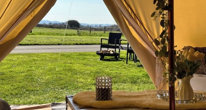 Chestnut Meadow Camping