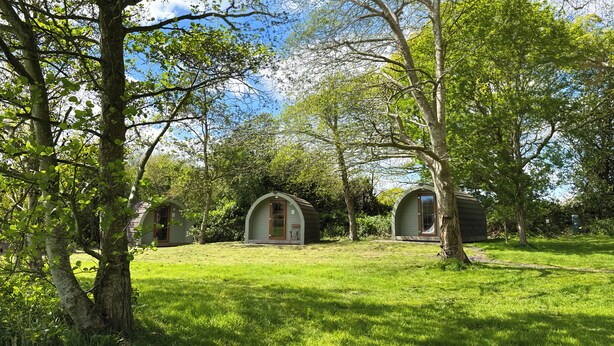 Un espace extérieur isolé, agrémenté de deux petites structures en bois semi-circulaires, entouré d’une végétation luxuriante et d’arbres.