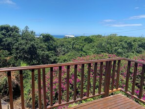 Property grounds - Serene 9 sleeper forest house, walk to beach. 10mins from airport and golf (Great Brak River)