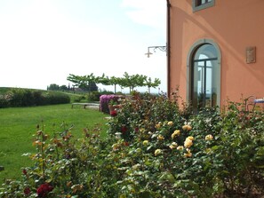 Property grounds - Camera Terrace by Interhome (Montespertoli)