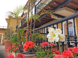 Exterior detail - Apartment Balkon Meerblick by Interhome (Icod de los Vinos)
