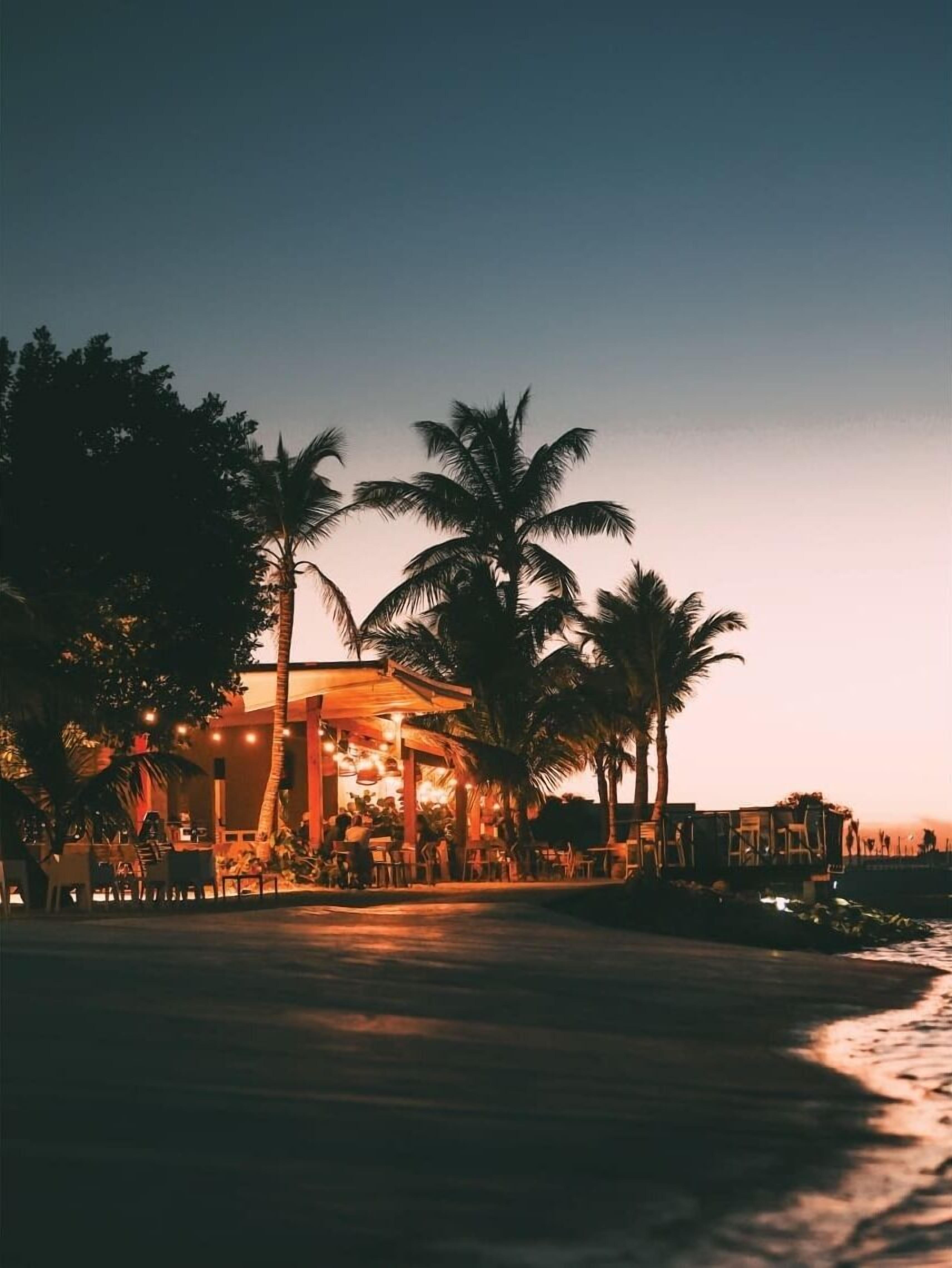 A beachfront restaurant with outdoor seating, palm trees, and a view of the ocean at dusk.