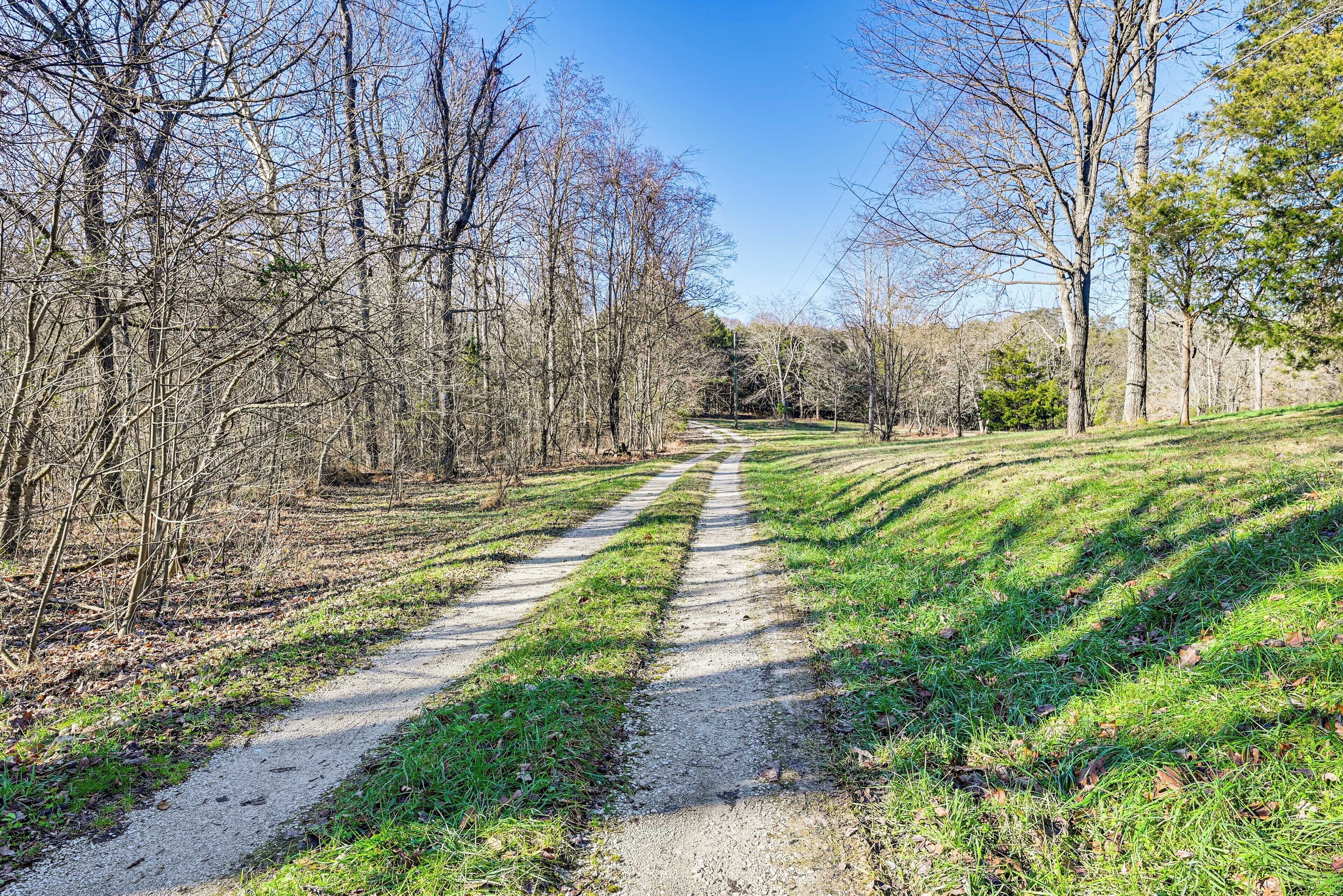 A gravel path flanked by trees and grass, leading into a forested area.