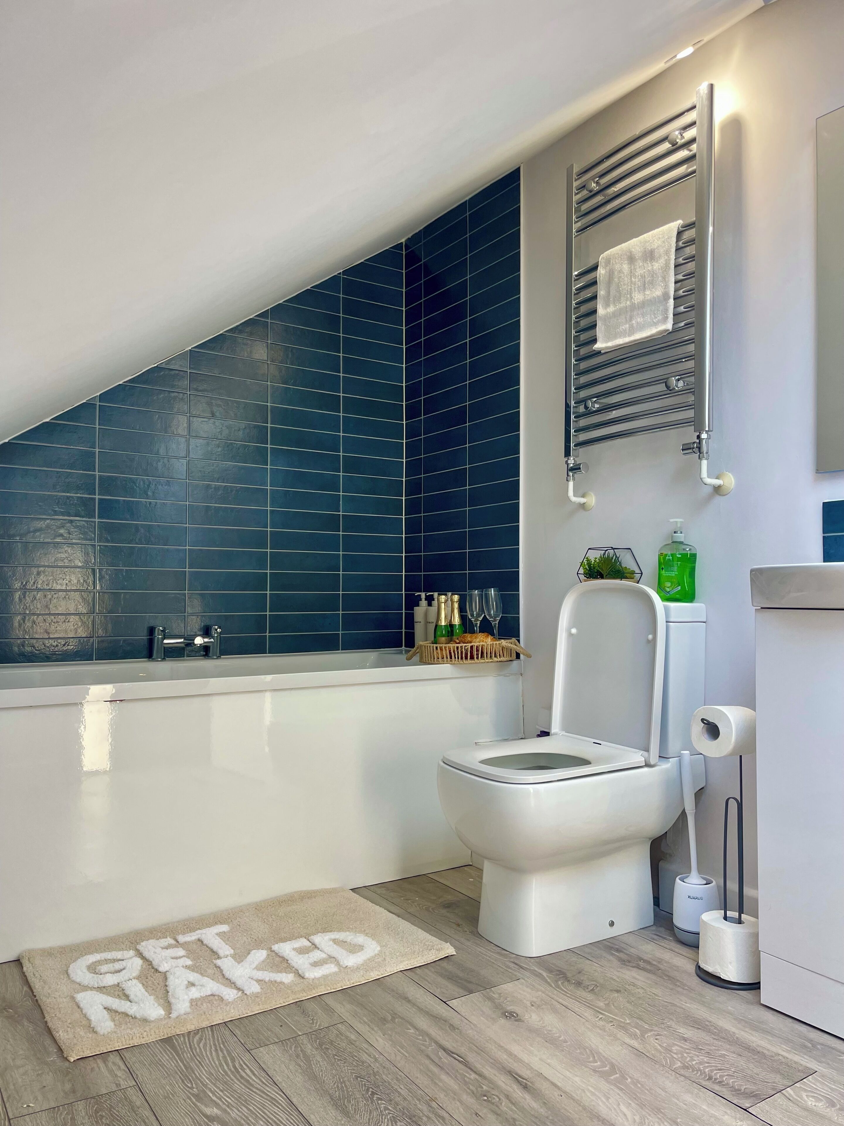 Hair dryer, towels, soap, toilet paper