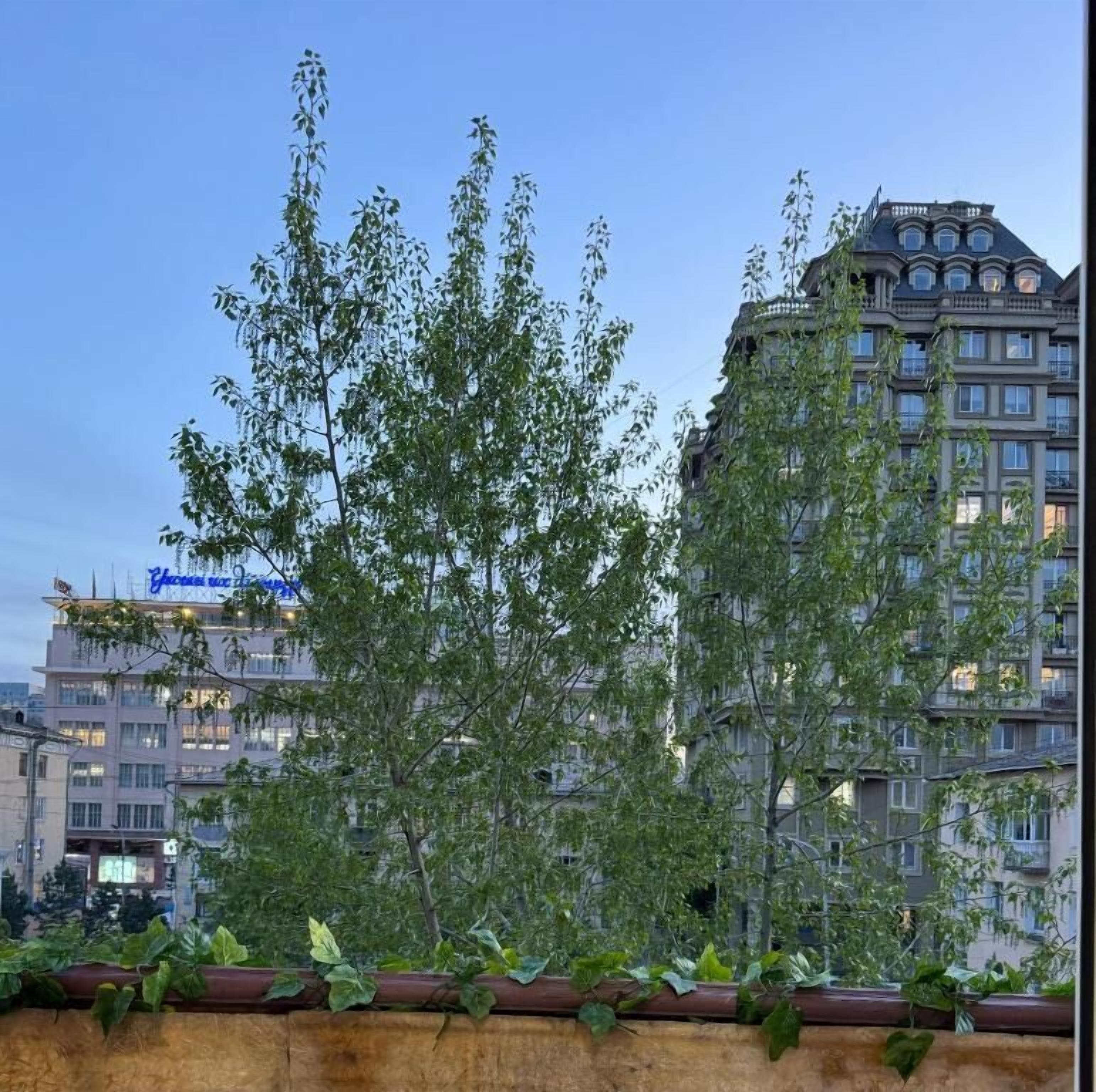 Vue depuis l’hébergement