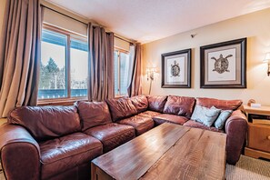 TV - Fall Line one bedroom sleeps 6 comfortably with extra large ski storage! (Newry)