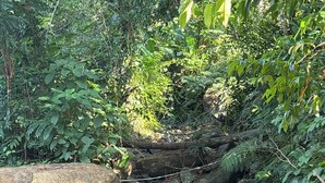 Bungalow, 1 Bedroom, Accessible, Smoking | Miscellaneous - Little Bailan Retreat - Garden & River Side (Ko Chang)