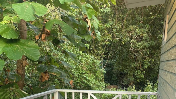 Bungalow, 1 Bedroom, Accessible, Smoking | Garden - Little Bailan Retreat - Garden & River Side (Ko Chang)