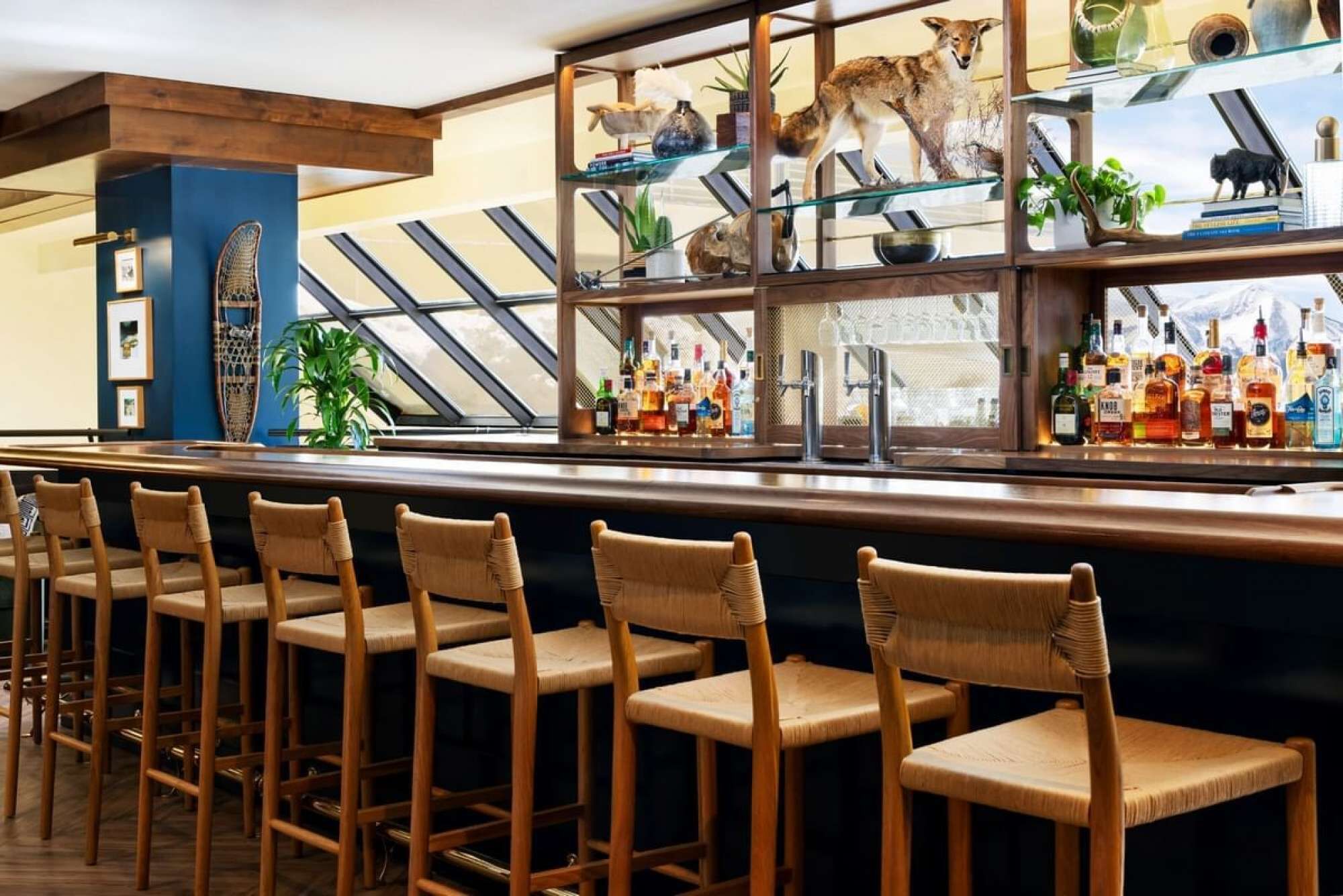 Bar (en la propiedad)