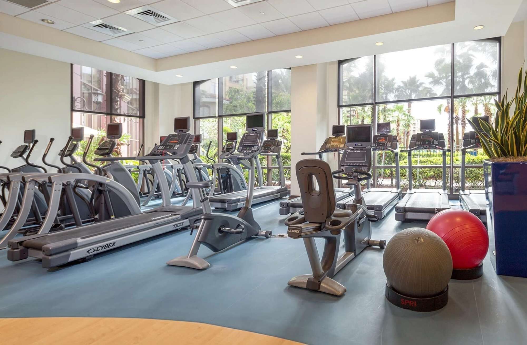 A gym with cardio machines, weight equipment, and exercise balls.