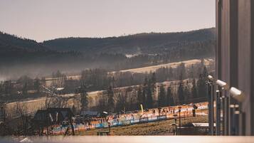 Apartment | 1 bedroom