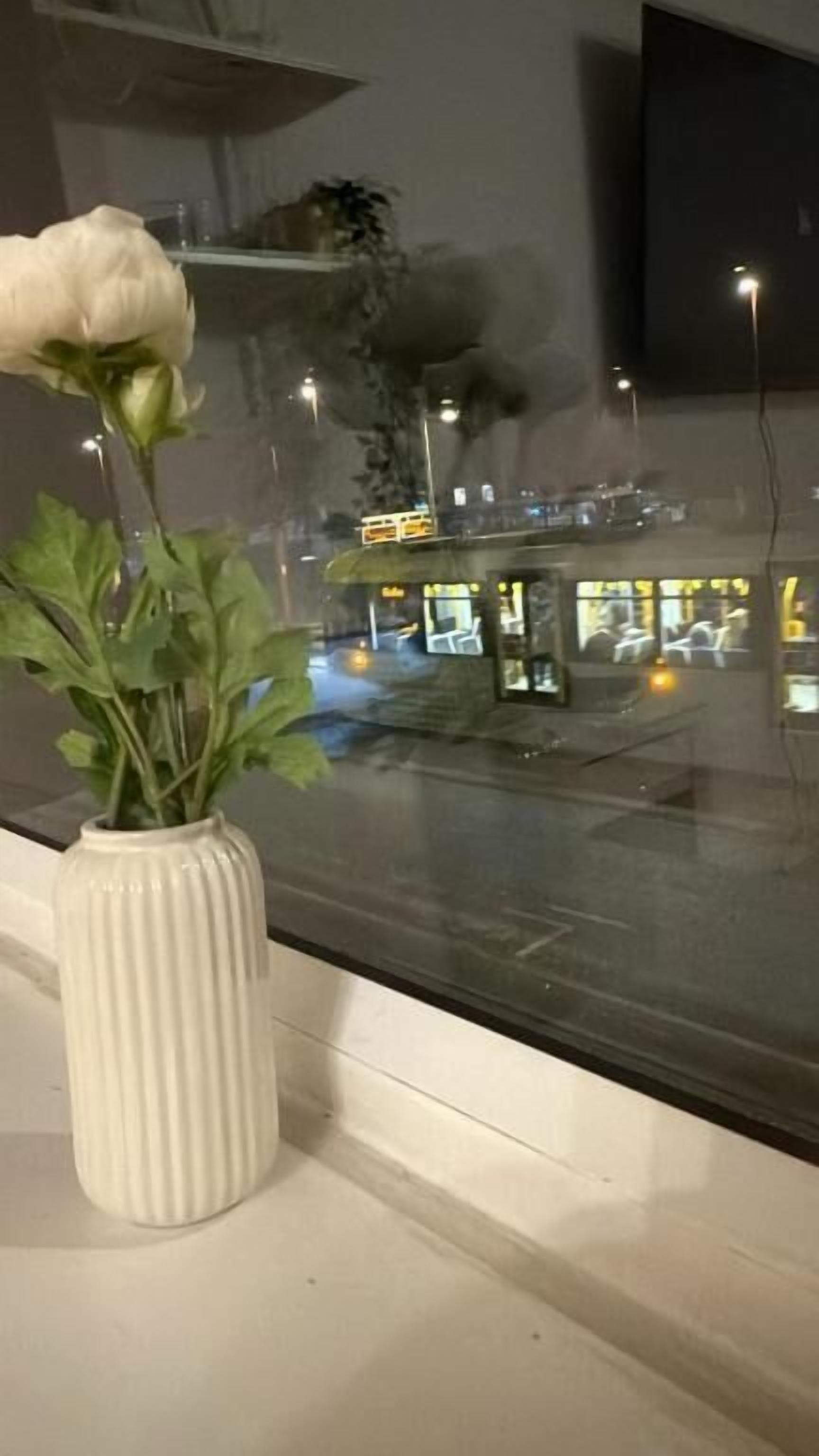 A white vase with a single white rose on a windowsill.