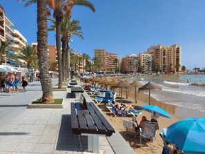 A beachside promenade with benches, umbrellas, and palm trees. - 2BR Apartment Center of Torrevieja (Torrevieja)