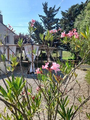 المنطقة المحيطة بالمنشأة