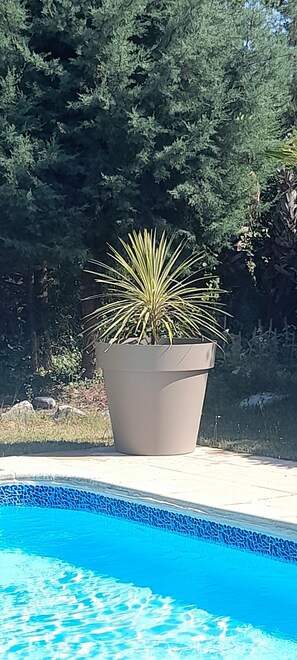 Pool - “Les Oliviers” Room: Mountain View, Shared Garden & Wi-Fi (Portes-en-Valdaine)