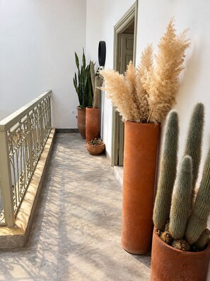 A corridor with potted plants, including cacti and a tall, slender plant. - Private Family-Run Riad • basin • patio (Marrakech)