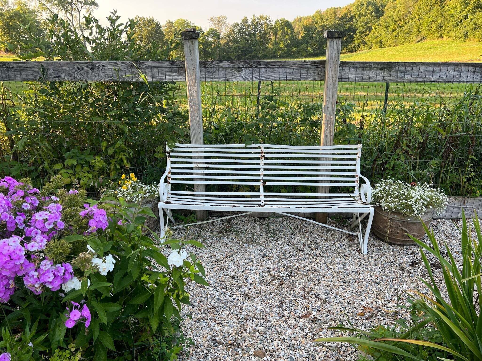 A white bench in a garden with gravel ground, surrounded by plants and a wooden fence.