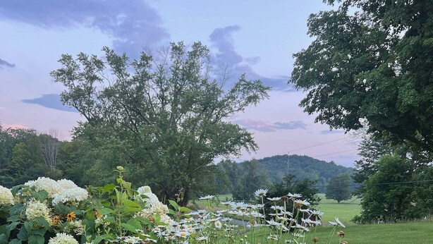 A garden with various flowers and trees. - Gorgeous Hudson Valley Farmhouse On 14 Acres 3 Bedroom Home (Old Chatham)