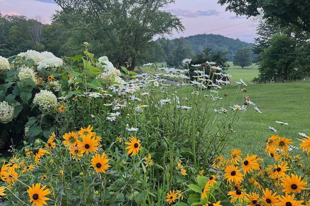 Gorgeous Hudson Valley Farmhouse On 14 Acres 3 Bedroom Home - Black Brook, NY