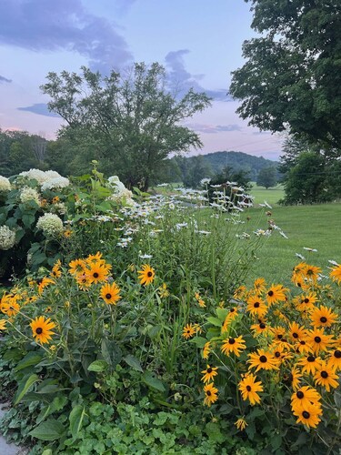 Gorgeous Hudson Valley Farmhouse On 14 Acres 3 Bedroom Home