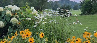 Gorgeous Hudson Valley Farmhouse On 14 Acres 3 Bedroom Home