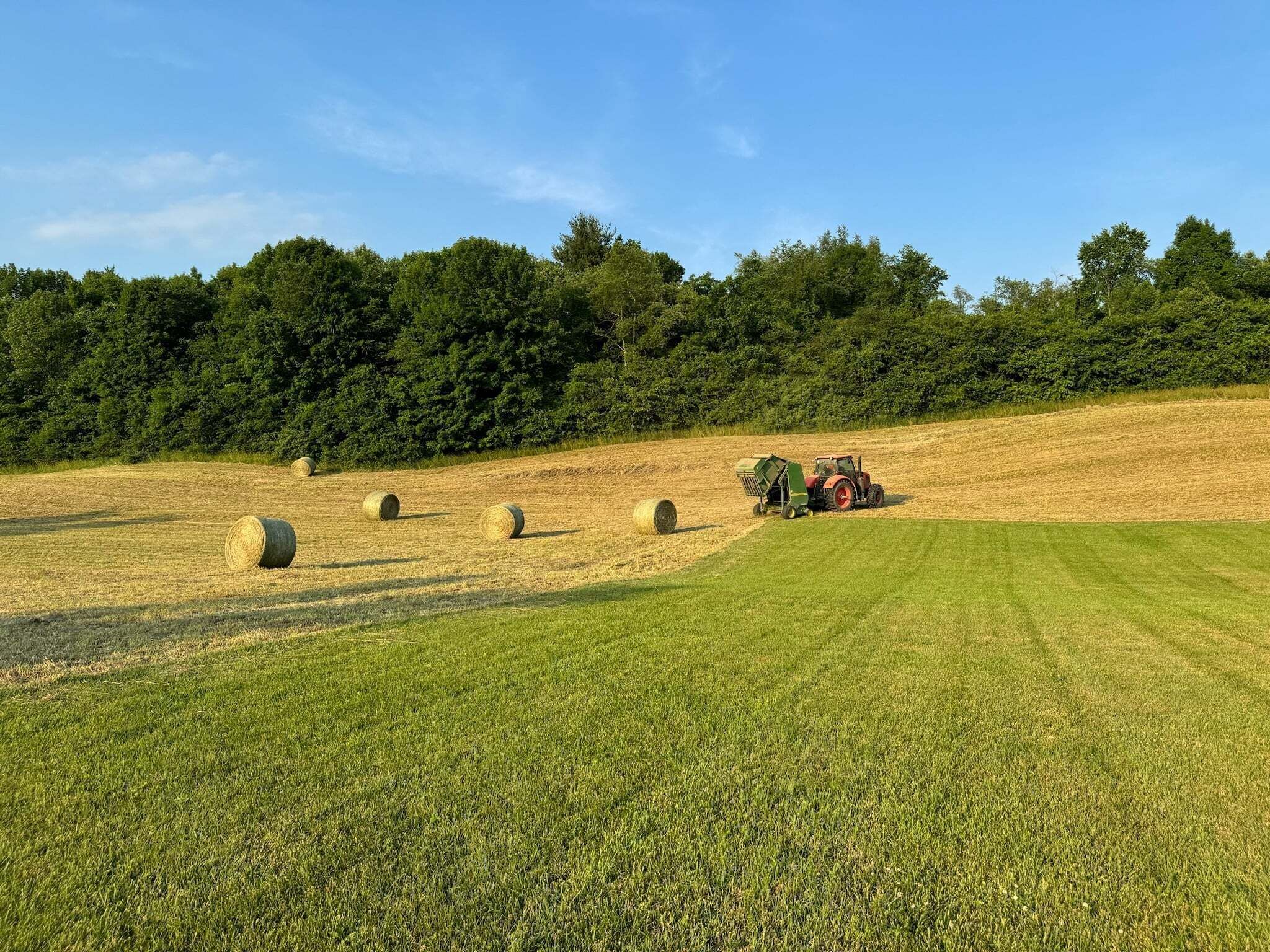 A rural landscape with hay bales, a tractor, and a forest in the background.