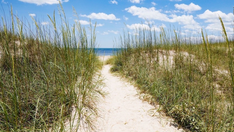 Chill by The Shores - Pet Friendly - Fernandina Beach