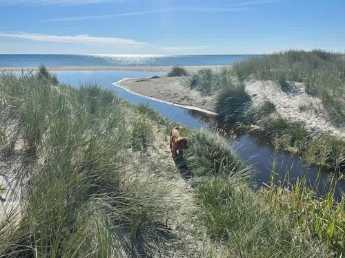 Holiday Home With Seaview And Private Beach