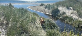 Holiday Home With Seaview And Private Beach