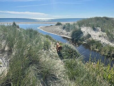 Holiday Home With Seaview And Private Beach