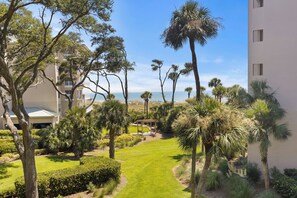 Un jardín ajardinado con palmeras, un camino y un edificio con balcones.