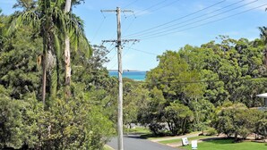 A road with a utility pole and power lines, surrounded by dense greenery and trees.