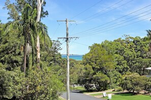 A road with a utility pole and power lines, surrounded by dense greenery and trees.