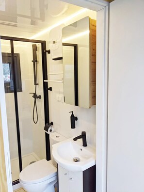 Shower, hair dryer, toilet paper