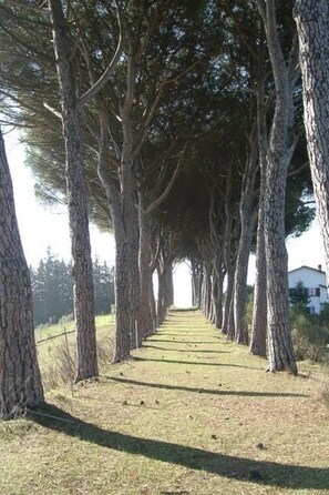 Property grounds - Ferienapartment Baita by Interhome (Perugia)