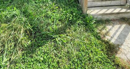 Oak Street Derby Suite: Near Downtown, Germantown