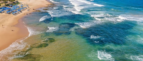 A beach with clear water, a sandy shore, and palm trees.
