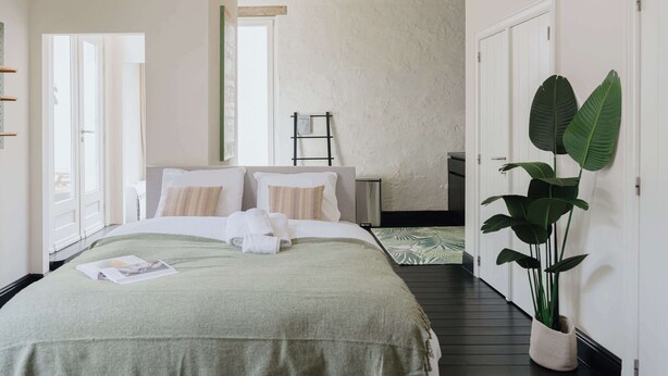 A bedroom with a bed, a potted plant, and a view of the outside. - Bright & Cozy Studio in Mechelen (Mechelen)