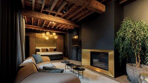 A modern interior with a sofa, a fireplace, and a large plant. - Luxurious Elegant Timeless Suite (Antwerpen)